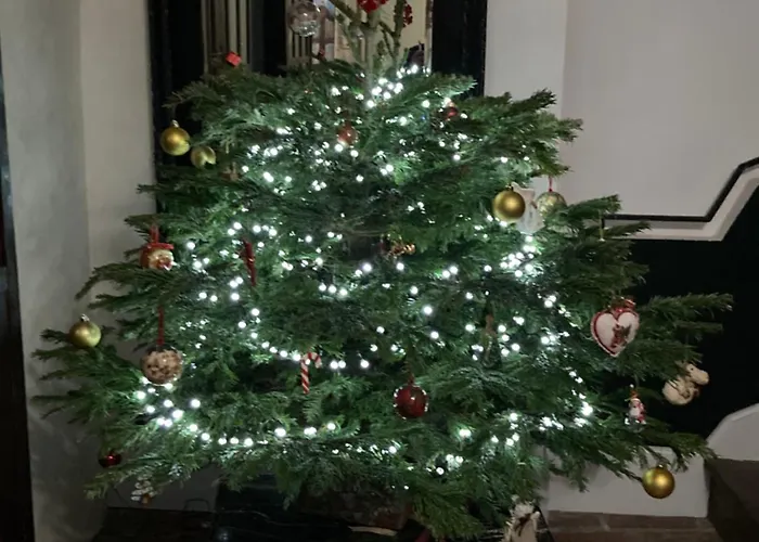 La Bastide De Cordes Vindrac-Alayrac